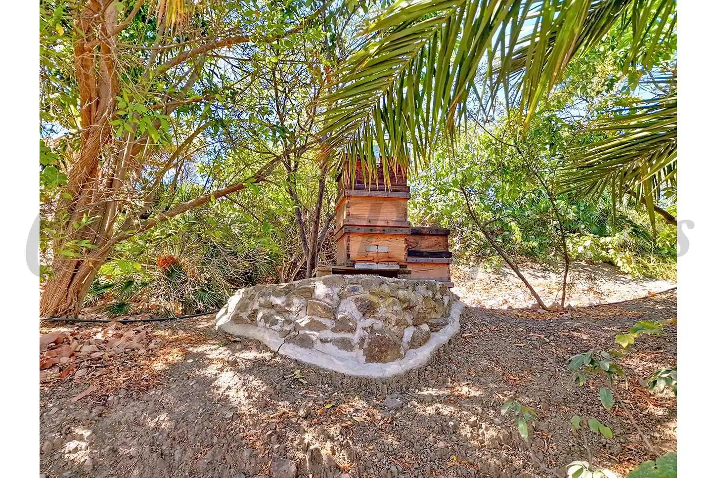 Casa con piscina en venta en Vélez-Málaga ciudad, imagen 18