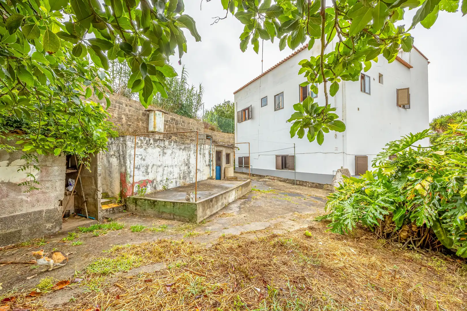 Casa o chalet en venta en Calle Sinesio Yánez Travieso, 41, El Palmar