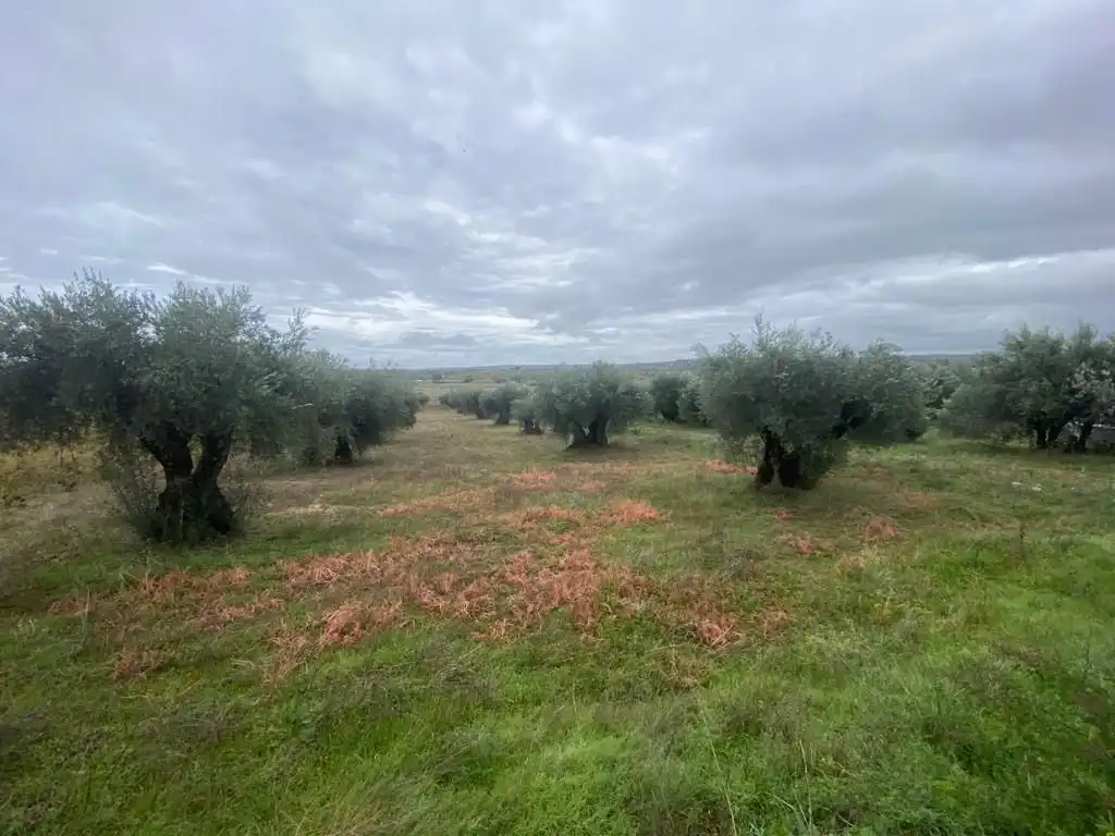 Finca rústica en venda en Villa del Prado