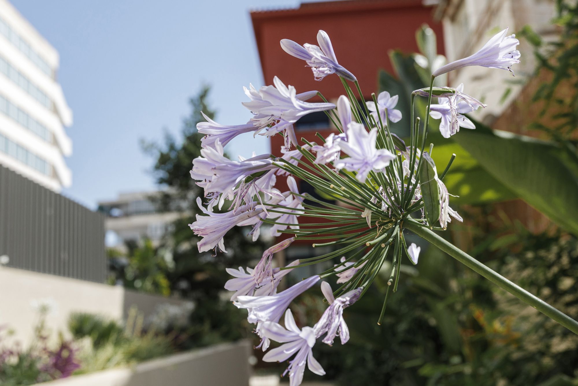 Garden of Apartment for sale in  Palma de Mallorca