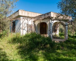 Exterior view of Land for sale in Rossell
