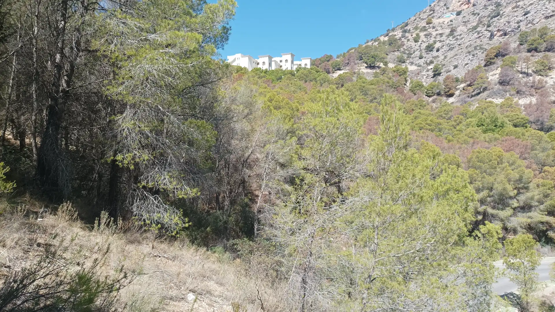 Terrenys i solars en venda a Altea la Vella, imagen 19
