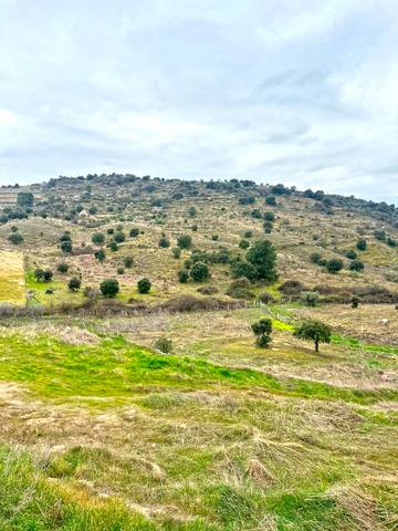 Terreno en Venta en Cebreros