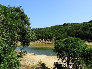 Terrenos y solares en venta en San Martin de Tours