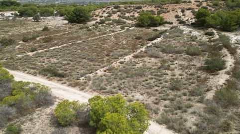 Parcela agraria de 3.476 mÂ en una excelente ubicaciÃn en La Marina, ElchePresentamos esta magnÃfica parcela agraria de 3.476 mÂ,, imatge 4