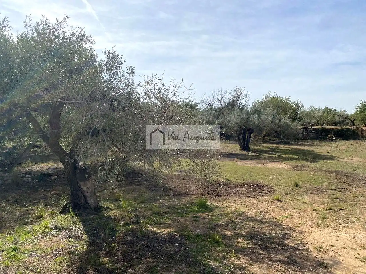 Terreno rustico in vendita a Planas, imagen 10