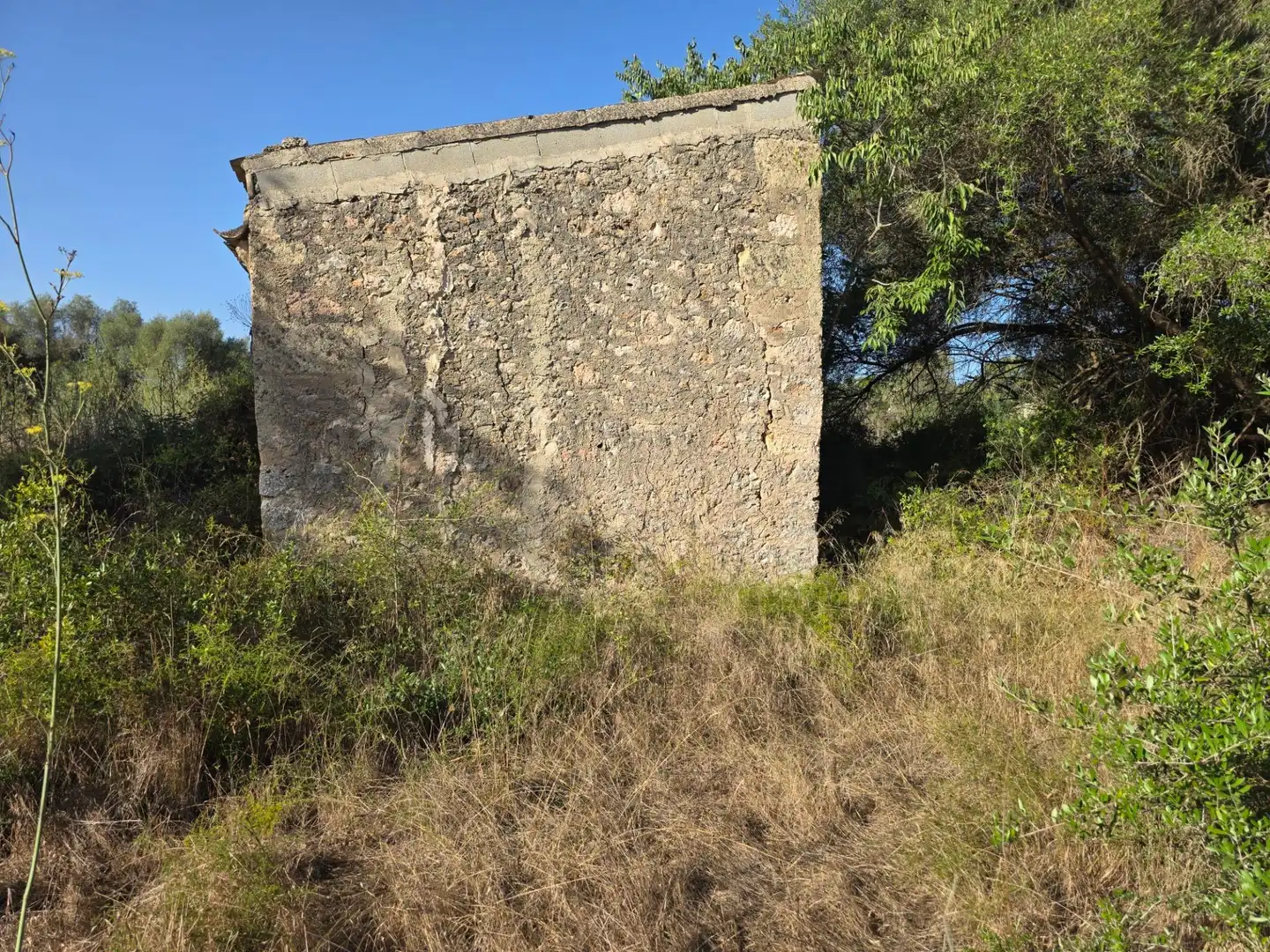 Finca rústica en venta en Costitx