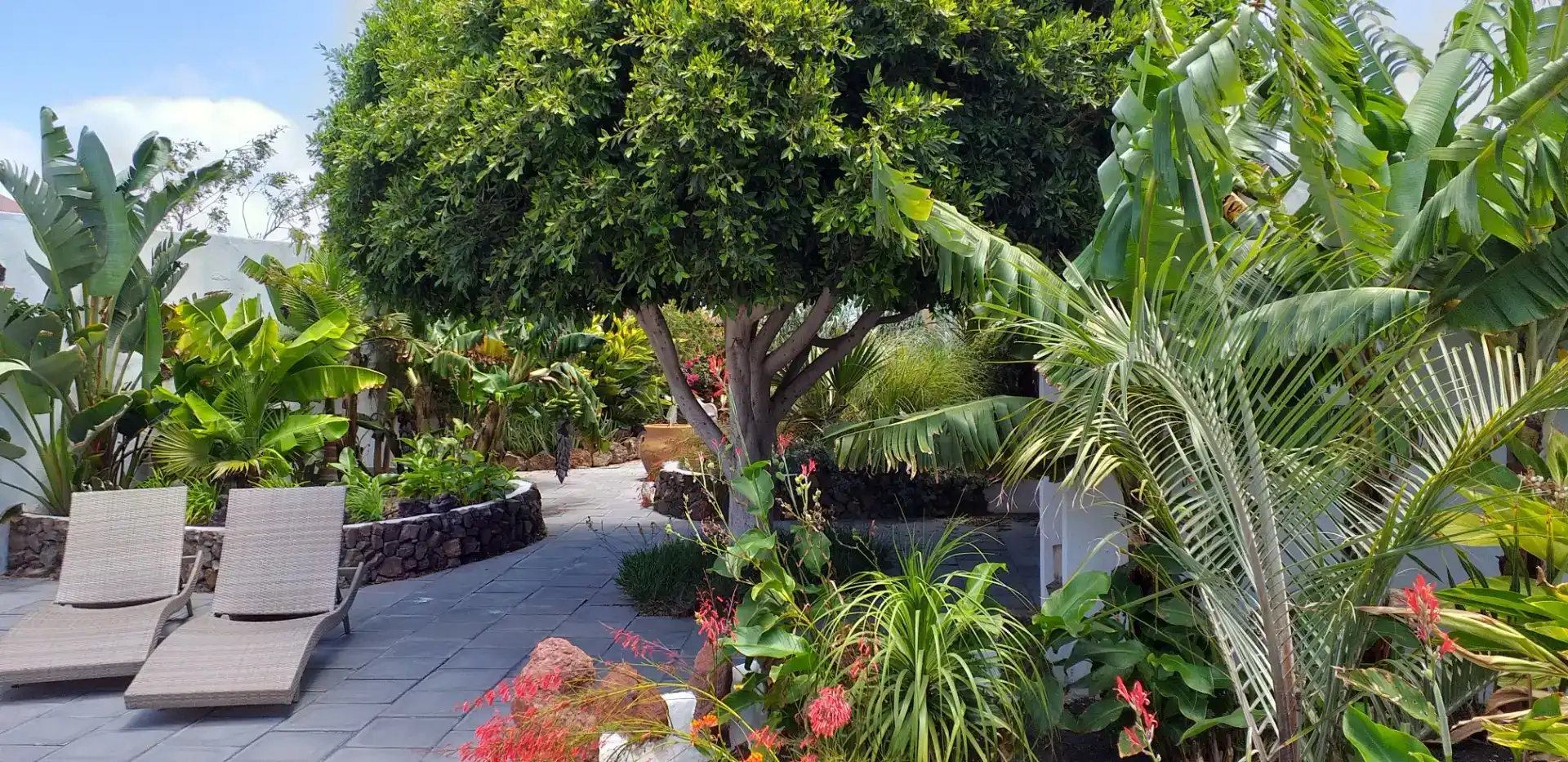 Jardín de Finca rústica en venta en Teguise con Jardín privado, Horno y Lavadora