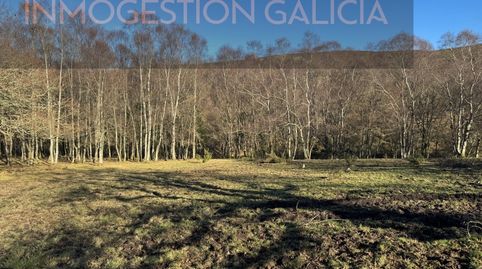 Espectacular finca de 44,5 hectáreas en plena naturaleza  Muras Lugo