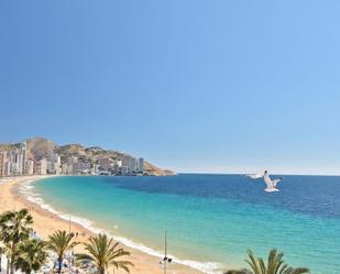 Vista exterior de Àtic en venda en Benidorm amb Aire condicionat i Terrassa