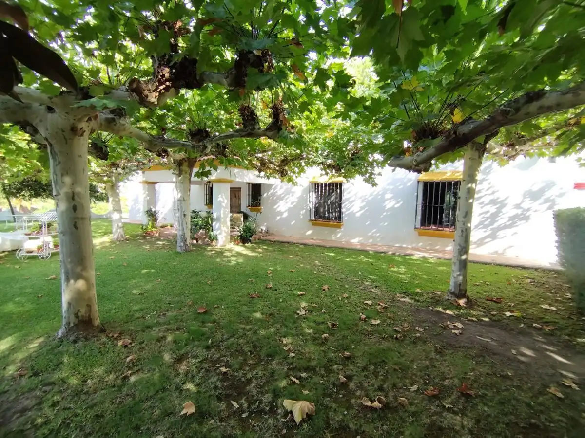 Garden of Houses for sale in Plasencia  with Storage room