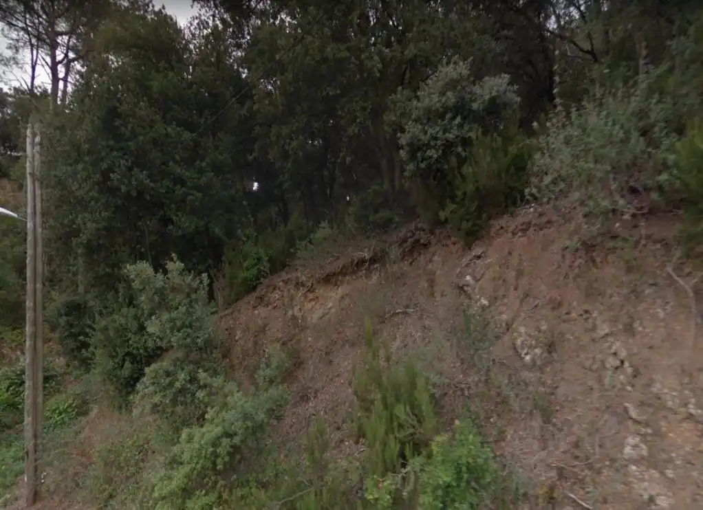 Terreny rústic en venda a COVA DEL DRAC, imagen 5