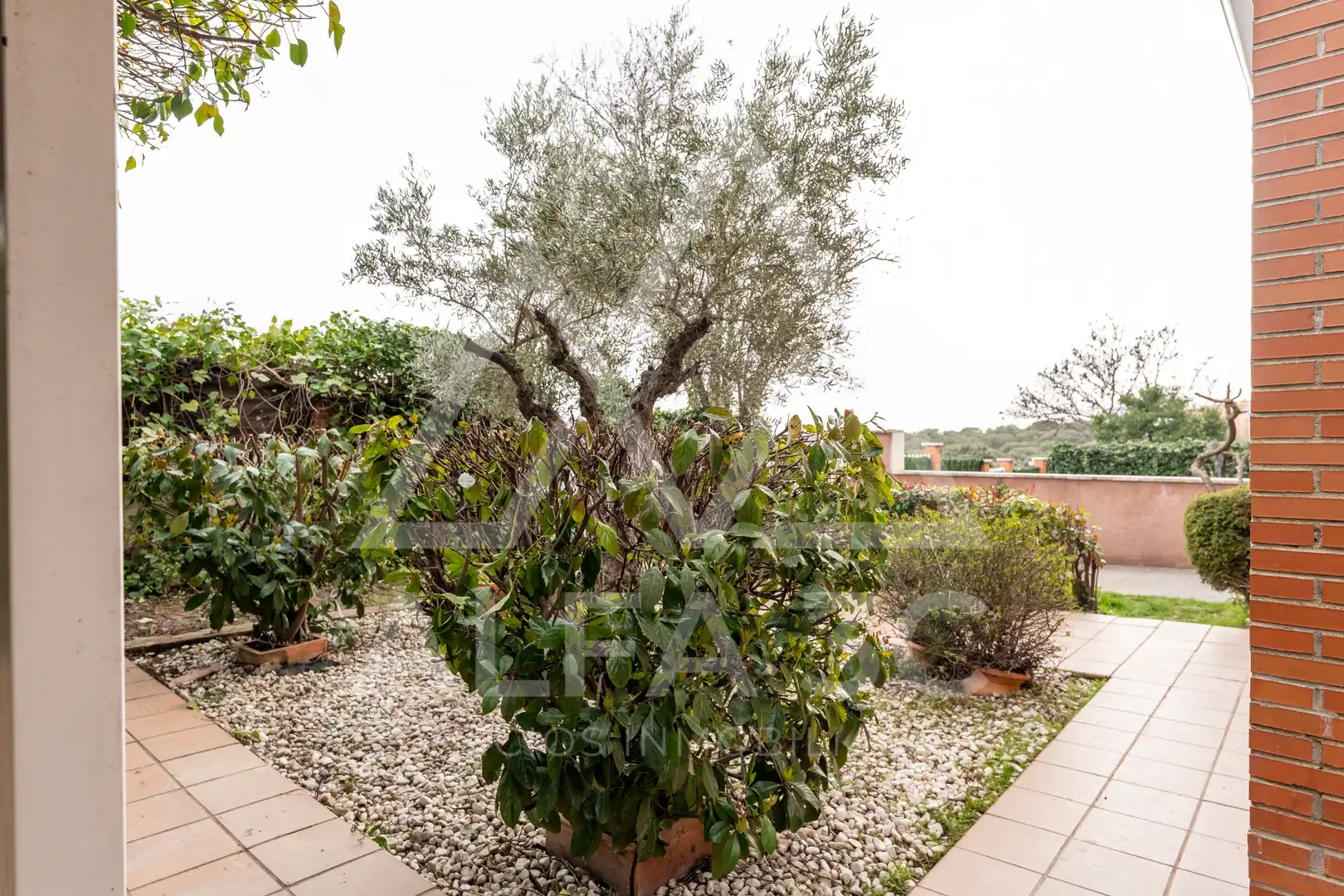 Jardín de Casa o chalet en venta en Venturada con Aire acondicionado, Calefacción y Jardín privado