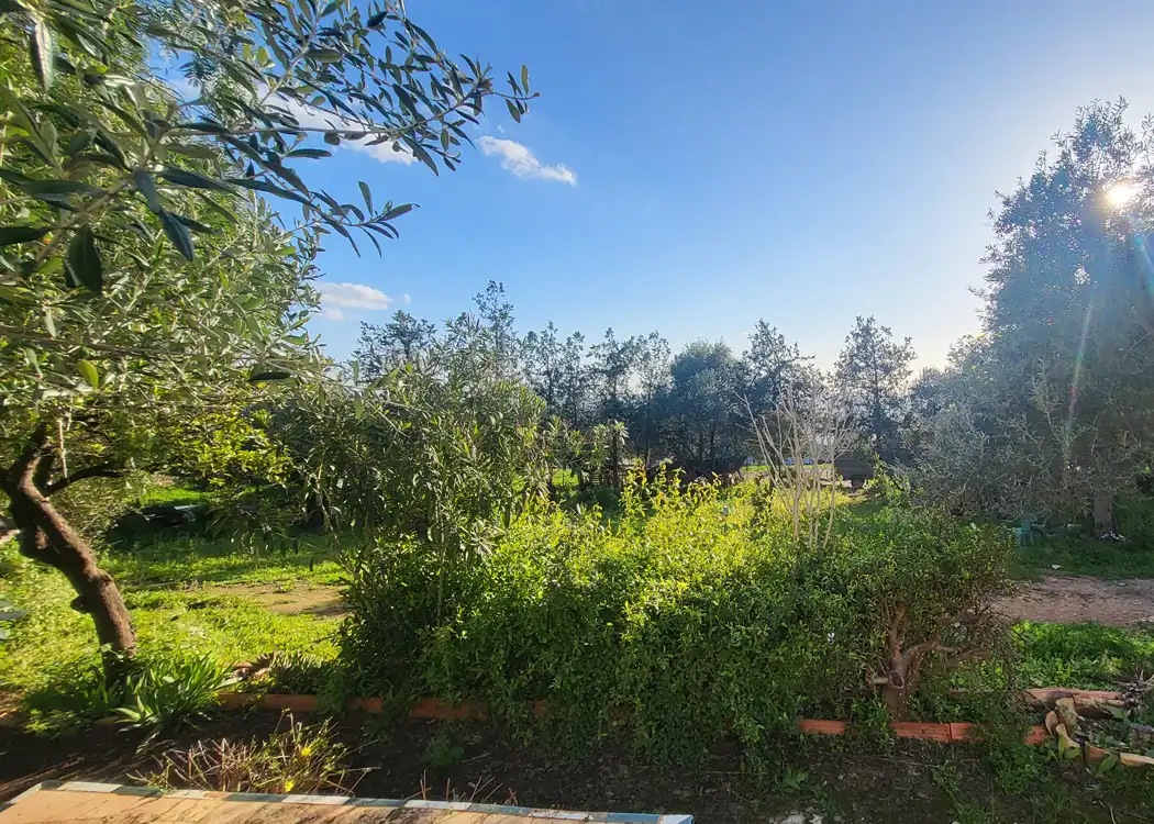 Finca rústica en venta en Montellano con Jardín privado, Terraza y Amueblado