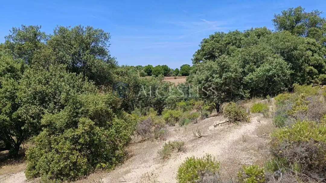 Terreno en venta en La Torre de Esteban Hambrán