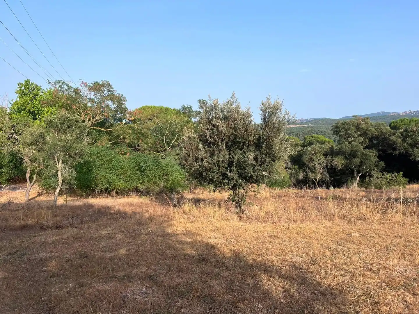 Résidentiel à vendre à LG PANEDES 2(A) Polígono 6 Parcela \1. LLAGOSTERA (GIRONA), imagen 70