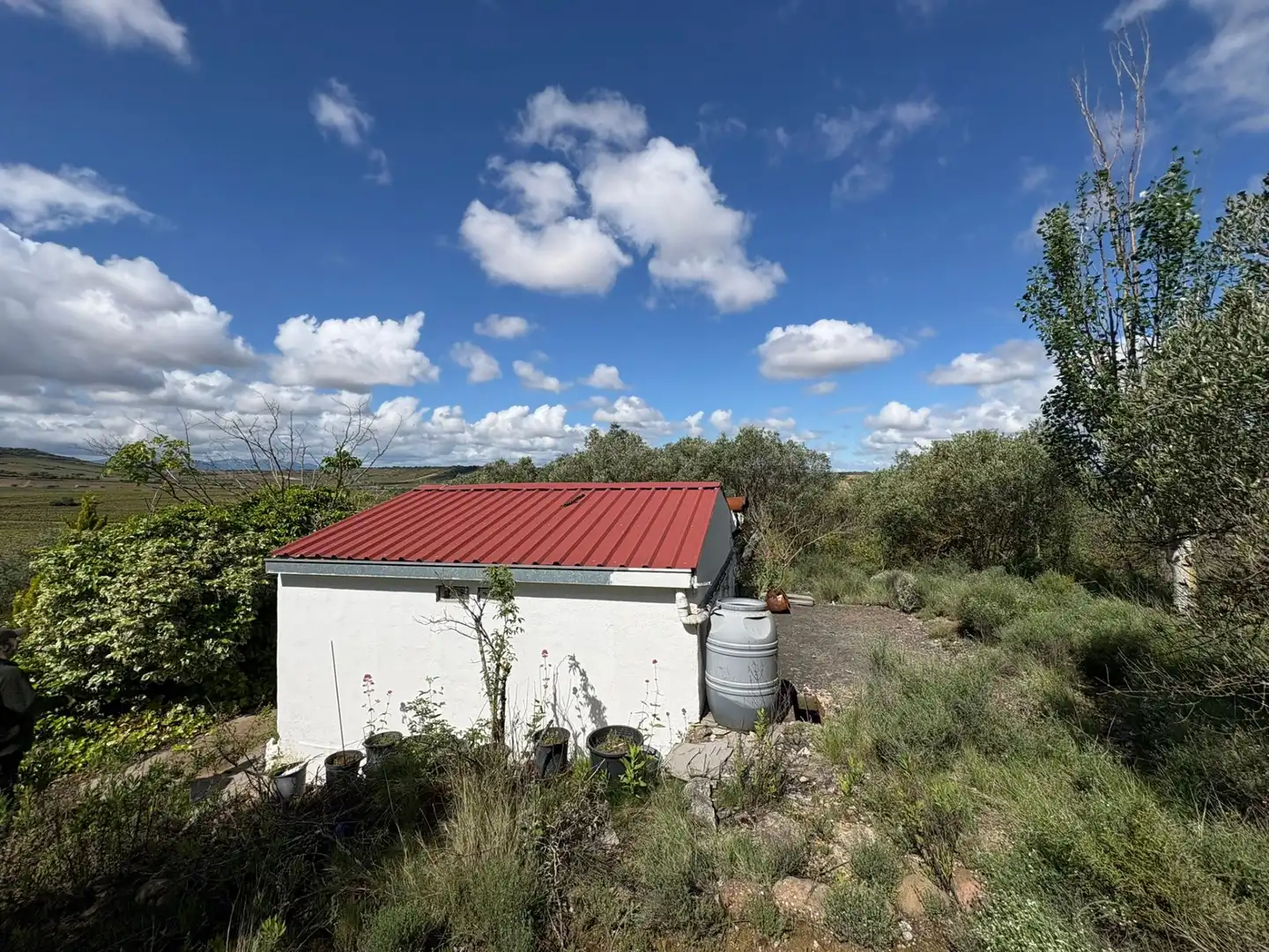 Land for sale in Cenicero