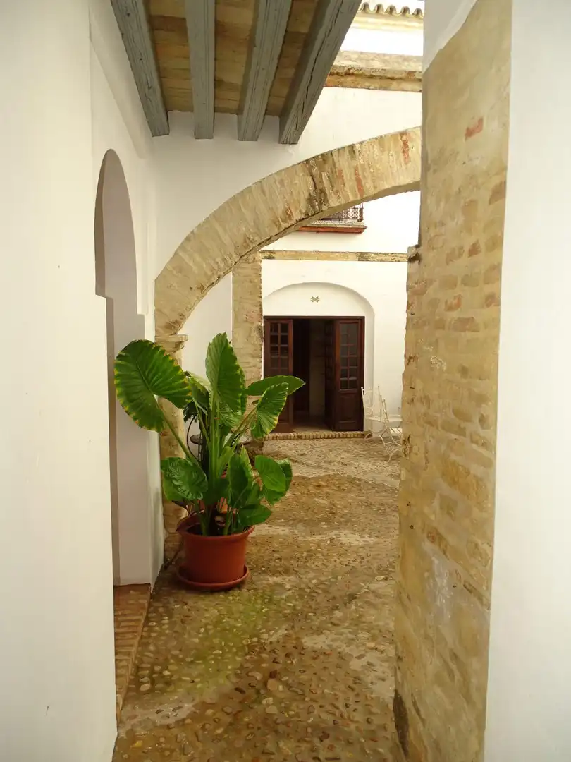 Maison avec terrasse à vendre à Gil de palma, imagen 20