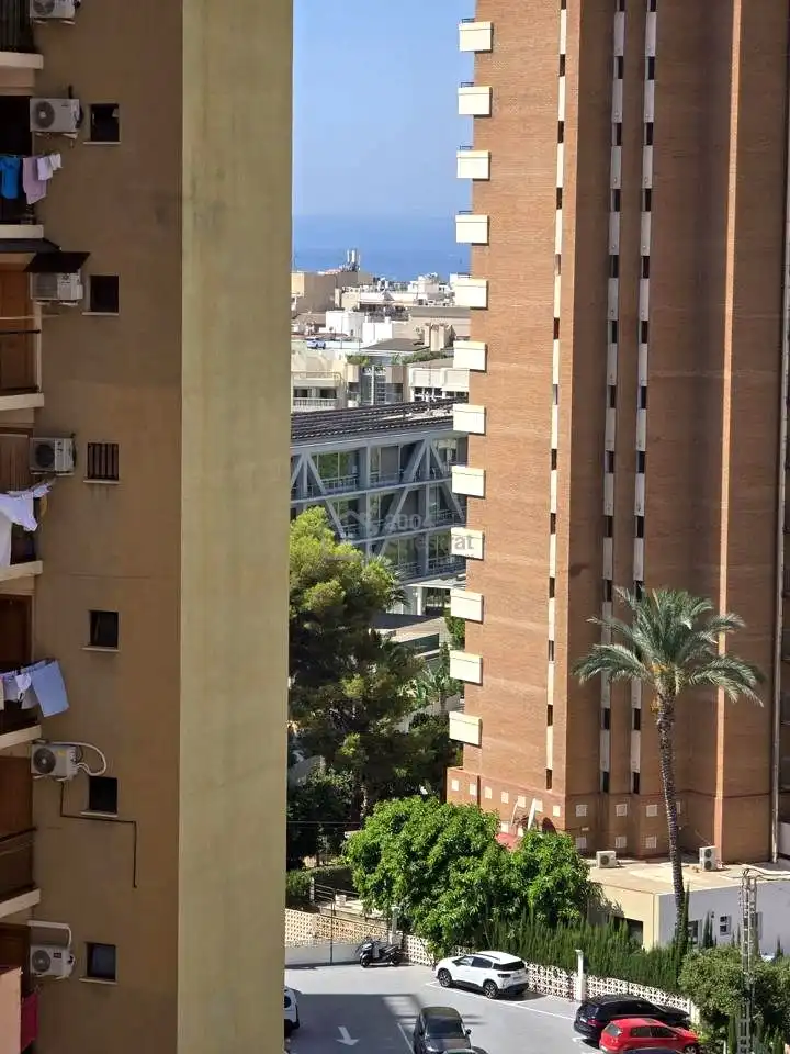 Vista exterior de Pis en venda en Benidorm amb Aire condicionat, Terrassa i Moblat