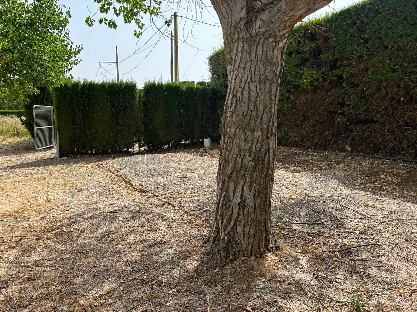 Terrenys i solars en venda a Zona de la Vega, imagen 5