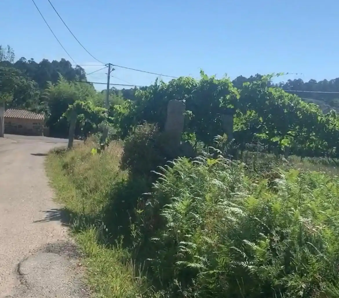 Lands and plots for sale in Lugar Mallón 28, imagen 9