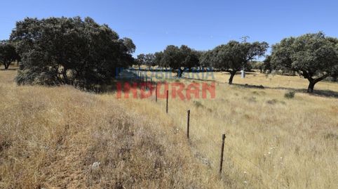 Finca de 18600 m2 poblada de encinas situada a 700 m del casco urbano de Millanes y a 60 m de la carretera Millanes, Cáceres, immagine 5