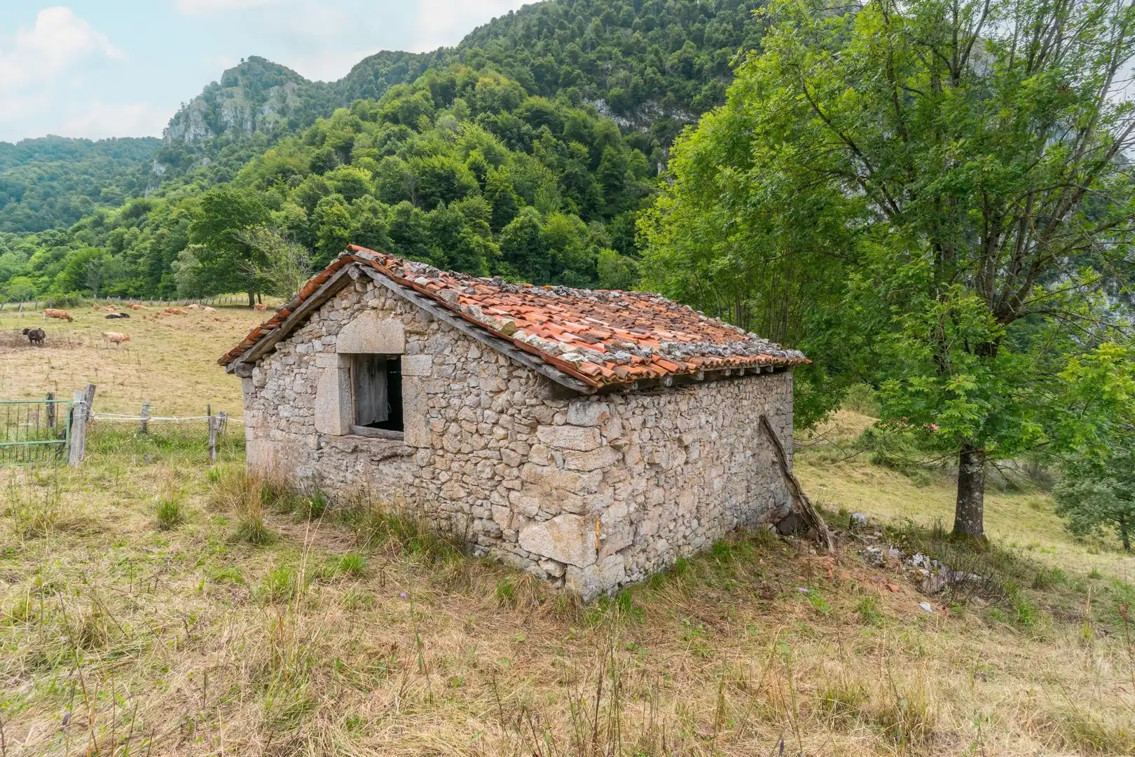 Exterior view of Houses for sale in Amieva
