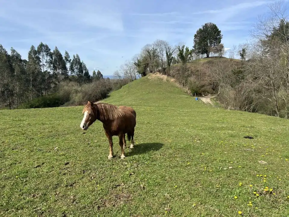 Land for sale in Carbayin - Lieres - Valdesoto