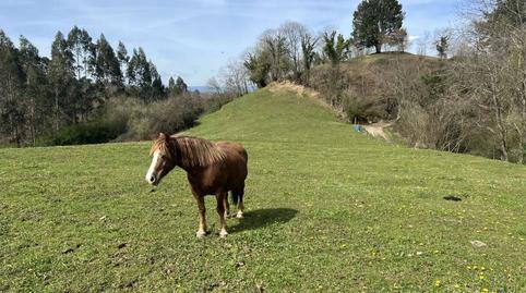 Foto 4 de Finca rústica en venda a Carbayin - Lieres - Valdesoto, Asturias