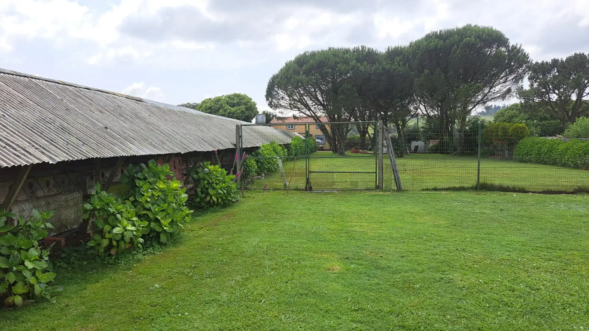 Casa o chalet en venta en Rúa Lince, Carral