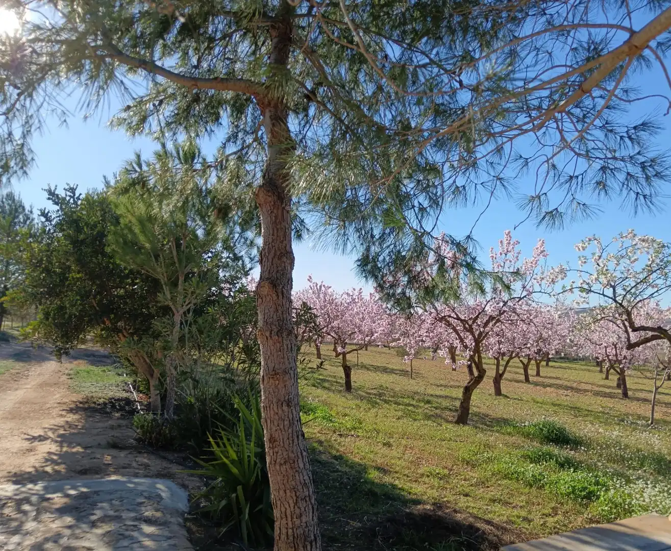 Villa con giardino in vendita a El Pinós / Pinoso, imagen 6