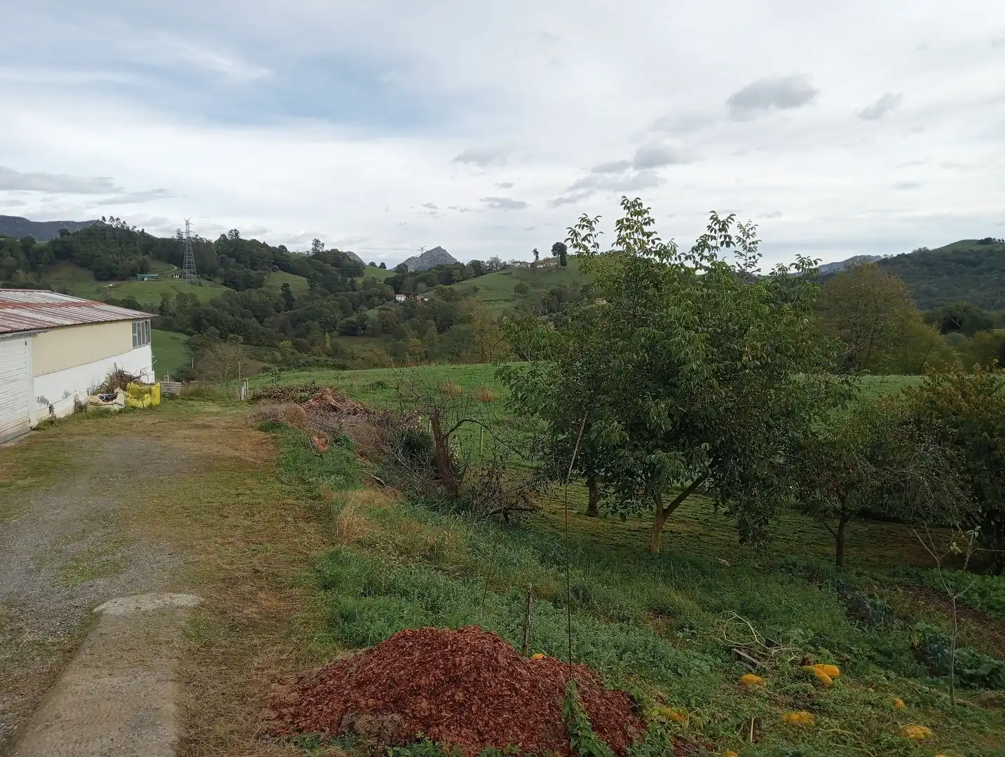 Fabrikhallen zum Verkauf in Piloña
