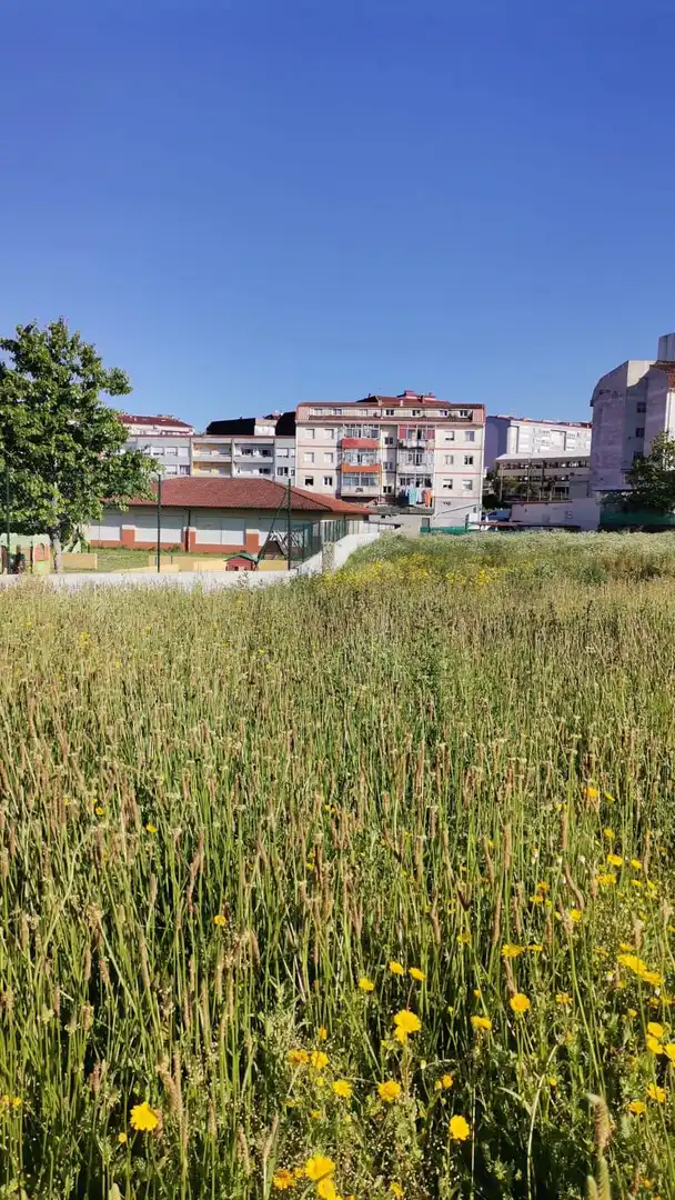 Terrenos y solares en venta en Ponteareas, imagen 2