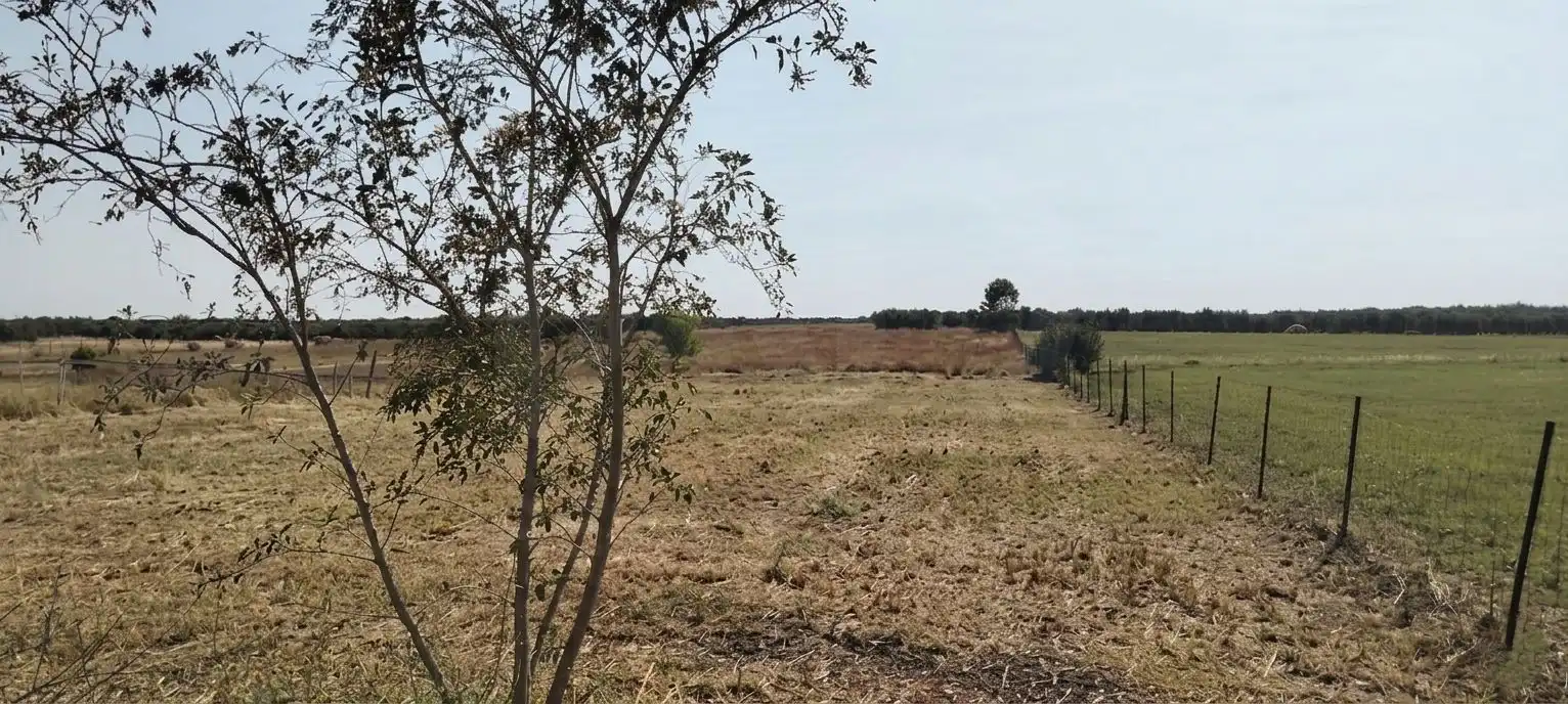 Terreni e lotti in vendita a La Hacienda - Nueva Andalucía, imagen 5
