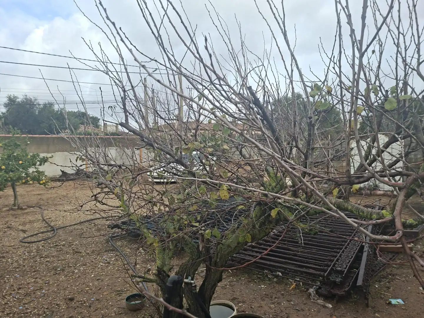 Residential land for sale in Los Franceses – La Vega, imagen 4