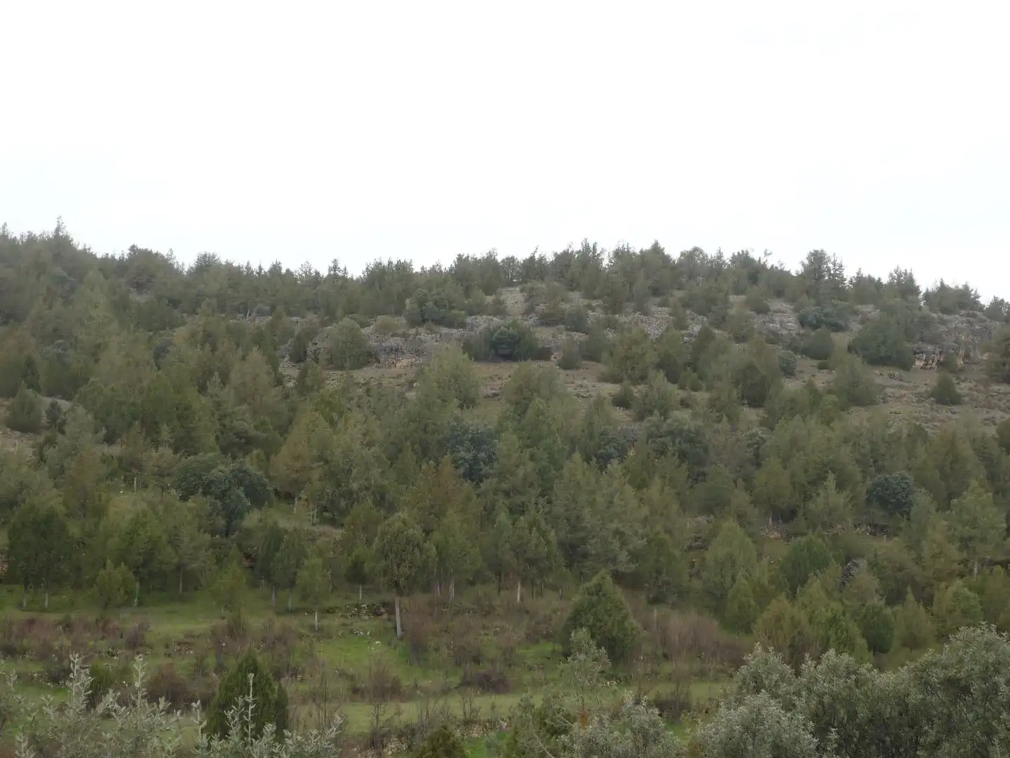 Terreno en venta en Pedraza
