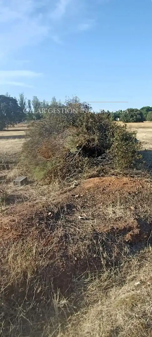 Casa o xalet en venda en Valdunciel amb Calefacció i Jardí privat