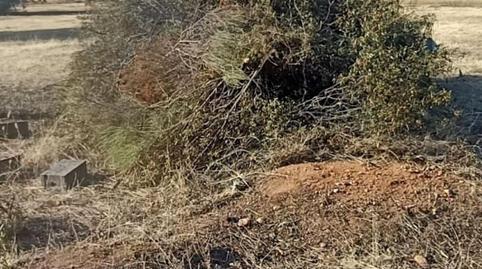 Photo 3 of House or chalet for sale in Huelmos S Joaquin, Valdunciel, Salamanca