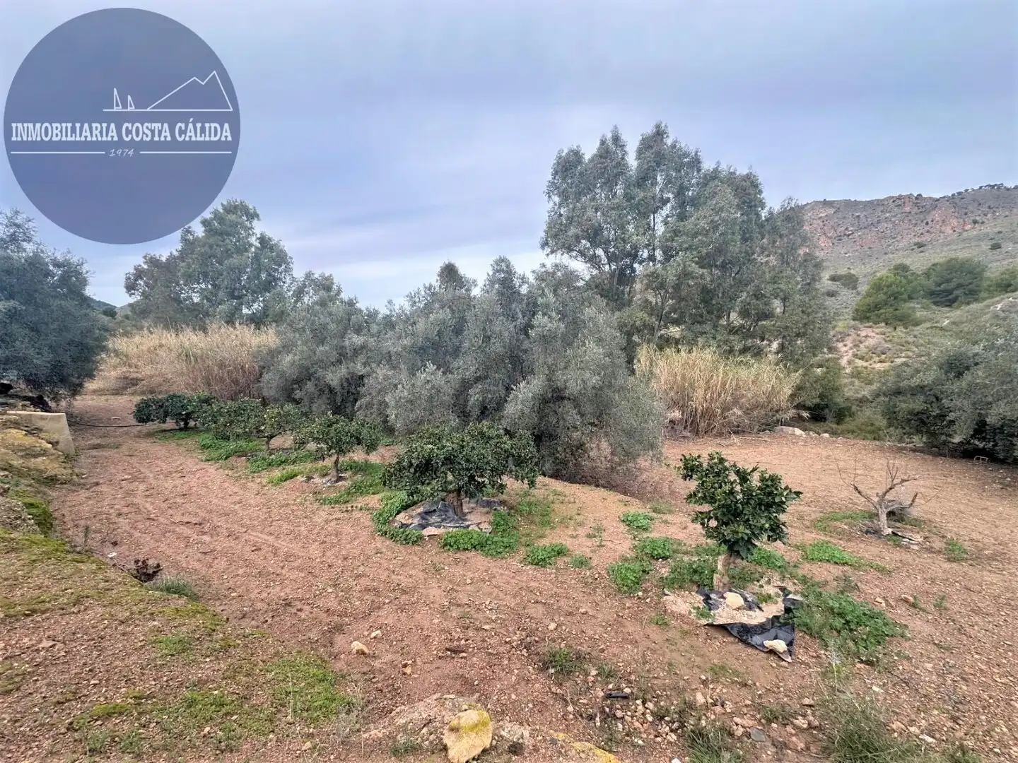 Finca rústica en venda en Águilas amb Jardí privat, Terrassa i Traster