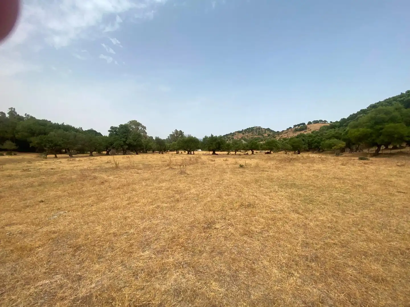 Terreni e lotti in vendita a Alcalá de los Gazules, imagen 89