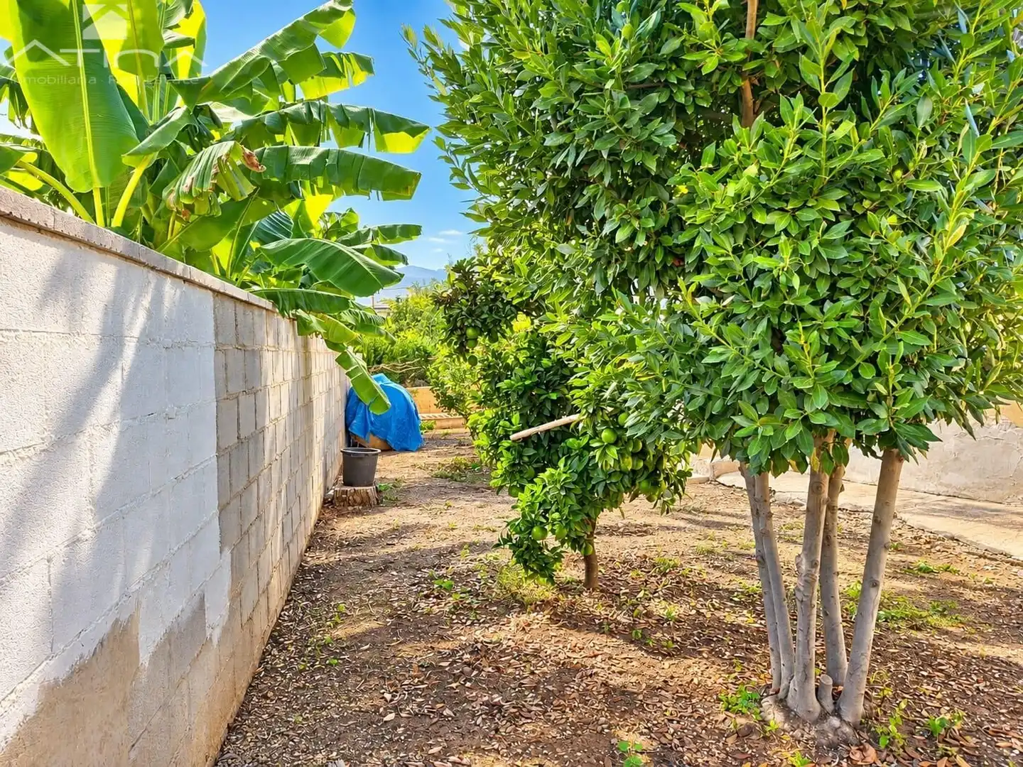 Villa zum Verkauf in Palma de Gandia, imagen 14