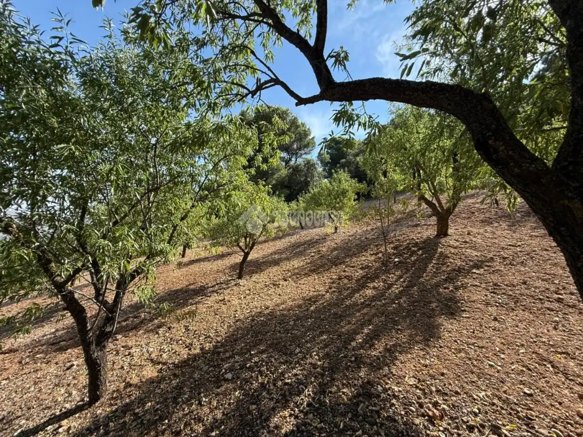 Finca rústica en venda en Jaén amb Jardí privat i Piscina