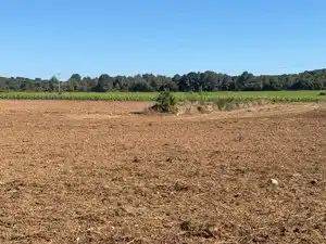 Land for sale in Bellvei