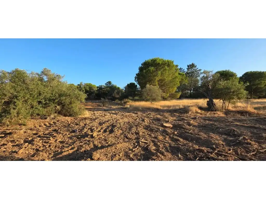 Terreny residencial en venda a Villablanca, imagen 4