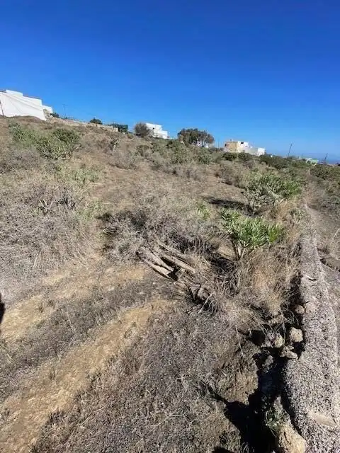 Land for sale in Telde