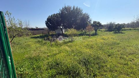 Foto 5 de Terreny en venda a Táliga, Badajoz