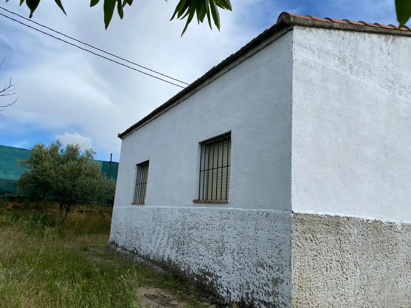 Vista exterior de Finca rústica en venda en Carranque amb Jardí privat, Terrassa i Moblat