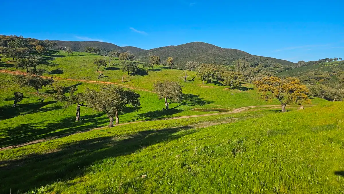 Terrenos y solares en venta en Aracena, imagen 39
