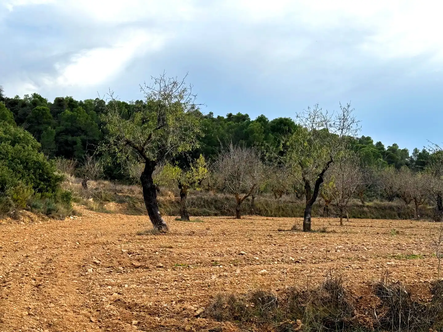 Terreni e lotti in vendita a Alcañiz, imagen 5