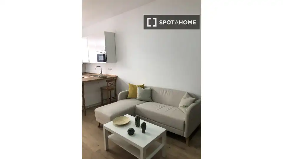 Sala de estar de Piso de alquiler en Madrid con Aire acondicionado, Calefacción y Amueblado